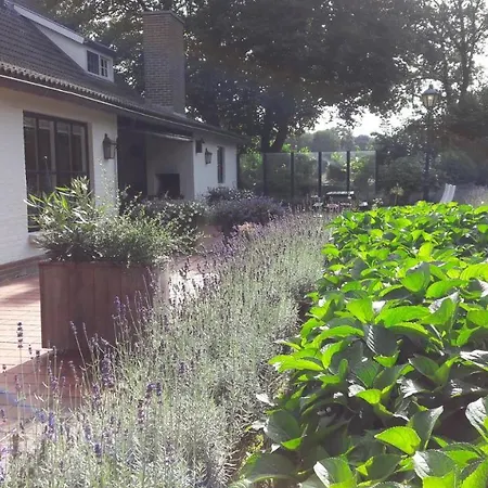 Het geheim van Merselo-3